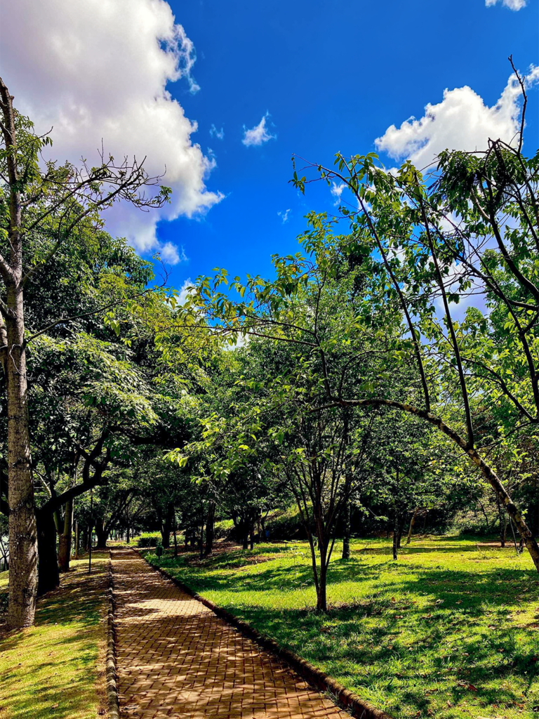 Parque Ecológico Renato Azeredo, uma das opções de lazer ao ar livre no bairro Palmares